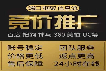 行业领先企业的SEM服务托管策略案例