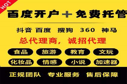 某电商平台sem竞价运营的突破与挑战